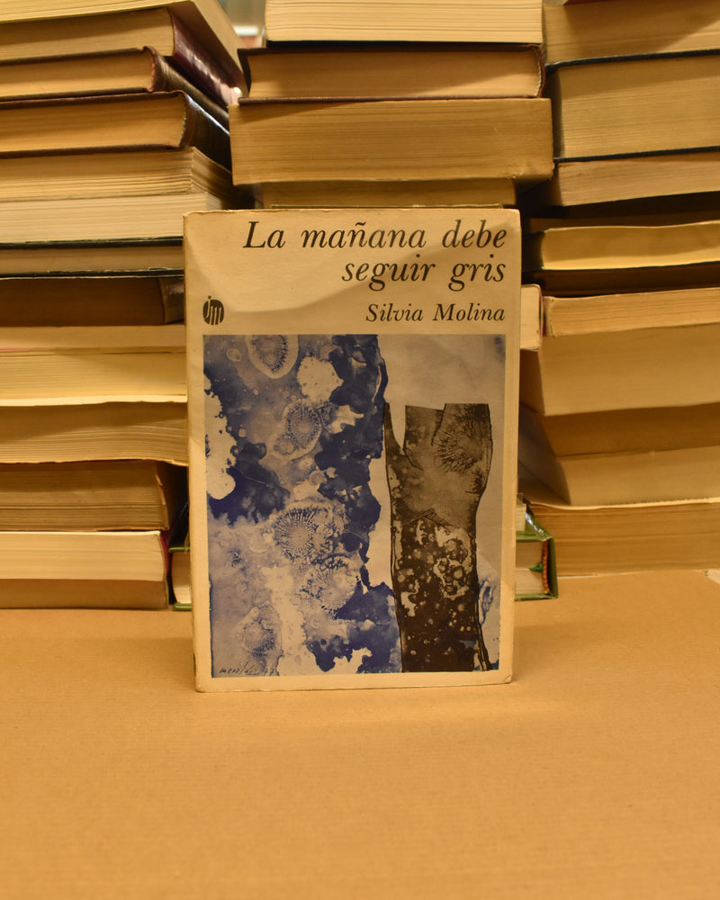 La mañana debe seguir gris - Silvia Molina