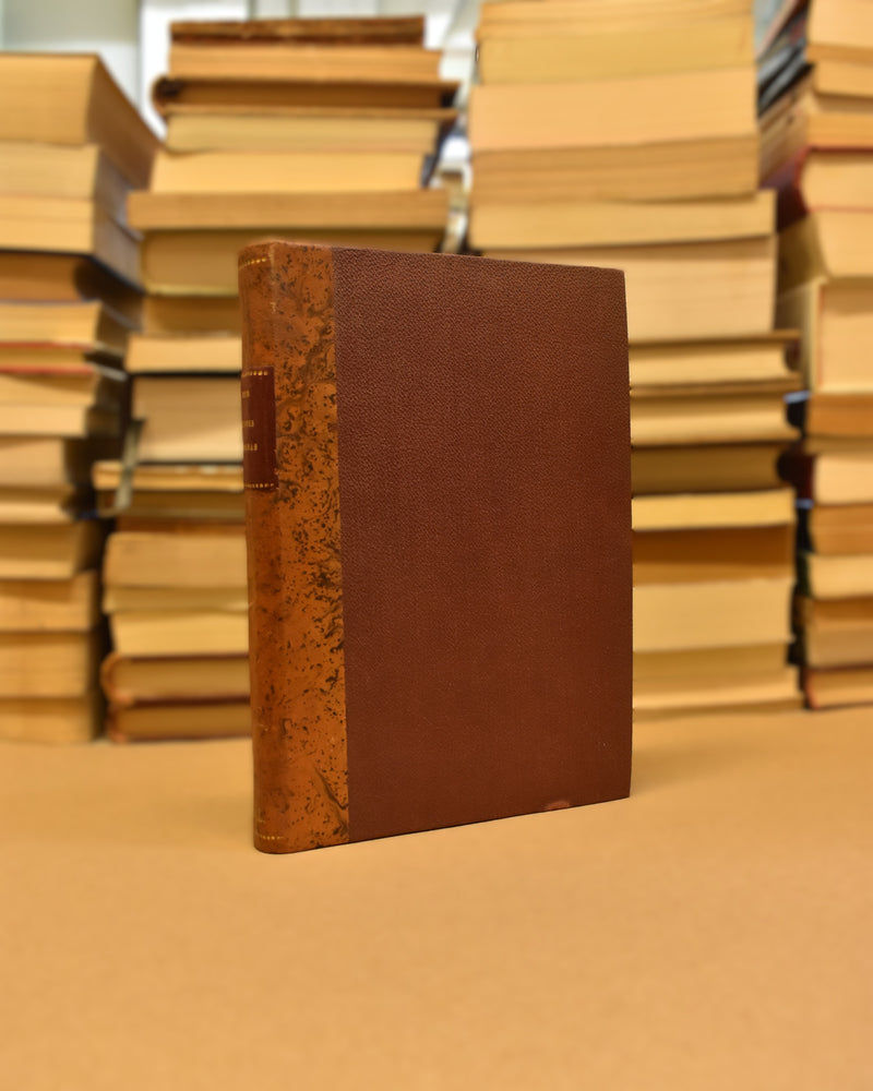 Cuestiones Gongorinas - Alfonso Reyes