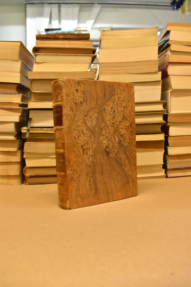 Historia de la Literatura en México - Alberto Valenzuela Rodarte